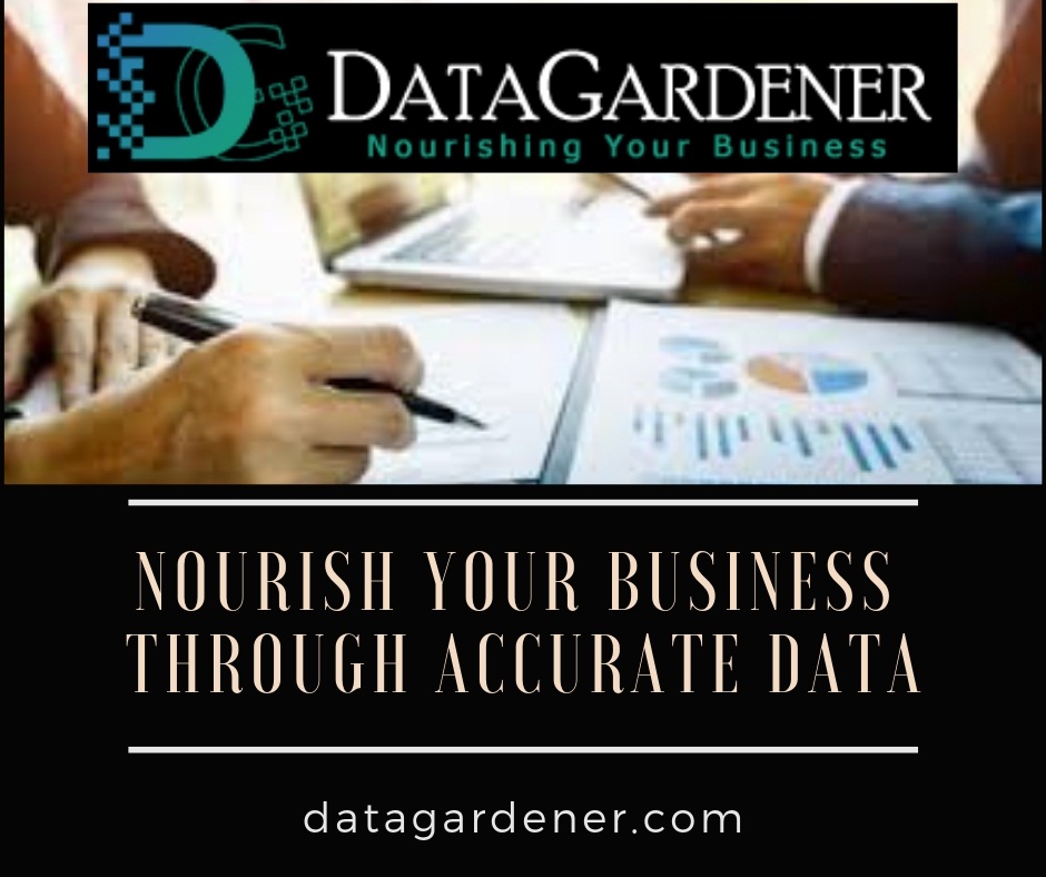 Nourish Your Business Through Accurate Data.jpg